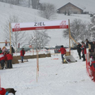 normal_29012012hornschlittende01007001aktivnews_095.jpg