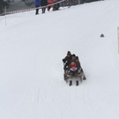 normal_29012012hornschlittende01007001aktivnews_106.jpg