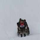 normal_29012012hornschlittende01007001aktivnews_108.jpg