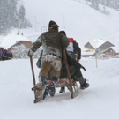 normal_29012012hornschlittende01007001aktivnews_113.jpg