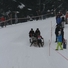 normal_29012012hornschlittende01007001aktivnews_121.jpg