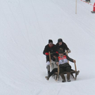 normal_29012012hornschlittende01007001aktivnews_125.jpg