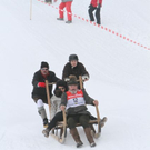 normal_29012012hornschlittende01007001aktivnews_127.jpg