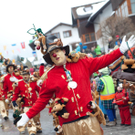 IMG_8313_jpg-1327856617