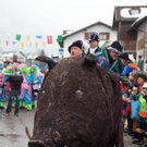 IMG_8327_jpg-1327856651