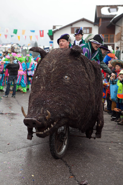 IMG_8327_jpg-1327856651