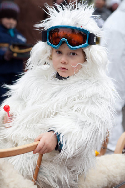 IMG_8336_jpg-1327856673