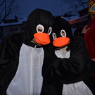 DSC_7763_JPG-1327861749.jpg