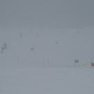 IMG_5118.JPG