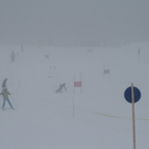 IMG_5119.JPG