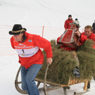 normal_29012012fmt_hornerschlittenrennen_fm_02.jpg