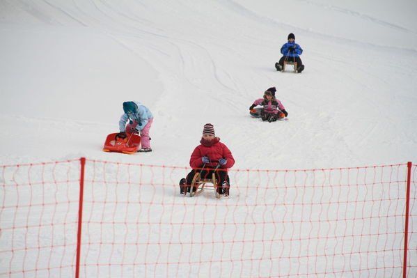 normal_29012012fmt_hornerschlittenrennen_fm_06.jpg