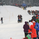 normal_29012012fmt_hornerschlittenrennen_fm_07.jpg