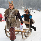 normal_29012012fmt_hornerschlittenrennen_fm_12.jpg