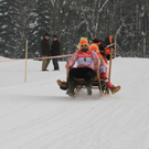 normal_29012012fmt_hornerschlittenrennen_fm_15.jpg