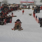 normal_29012012fmt_hornerschlittenrennen_fm_17.jpg