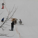 normal_29012012fmt_hornerschlittenrennen_fm_19.jpg