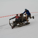 normal_29012012fmt_hornerschlittenrennen_fm_20.jpg