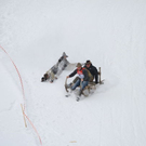 normal_29012012fmt_hornerschlittenrennen_fm_31.jpg