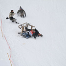 normal_29012012fmt_hornerschlittenrennen_fm_33.jpg