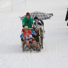 normal_29012012fmt_hornerschlittenrennen_fm_45.jpg