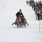 normal_29012012fmt_hornerschlittenrennen_fm_59.jpg