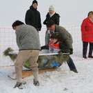 normal_29012012fmt_hornerschlittenrennen_fm_60.jpg