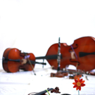 Faschingskonzert der Rheintalischen Musikschule im Reichshofsaal