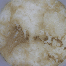 DSCN1714.JPG