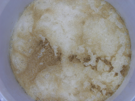 DSCN1714.JPG