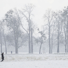 ABD0029-20111219.jpg