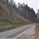 Klauser Wald
