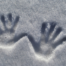 bilderbox-handschuhe.JPG