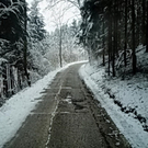 30012012lkwrottaude02001aktivnews_02.jpg