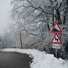 30012012lkwrottaude02001aktivnews_24.jpg