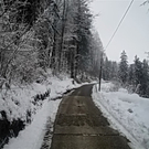 30012012lkwrottaude02001aktivnews_33.jpg