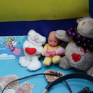 d30aXII026.jpg