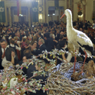 ABD0075-20120130.jpg