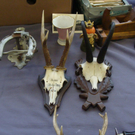 DSC08556.JPG