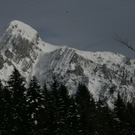 31012012lawinerinngogelde01001aktivnews_29.jpg