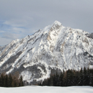 31012012lawinerinngogelde01001aktivnews_18.jpg