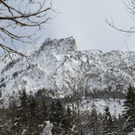 31012012lawinerinngogelde01001aktivnews_06.jpg