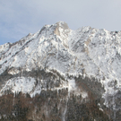 31012012lawinerinngogelde01001aktivnews_11.jpg