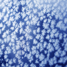 ABD0039-20120131.jpg