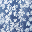 ABD0035-20120131.jpg