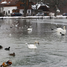 normal_01022012fmt_eislepi_ta_004.JPG