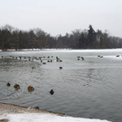 normal_01022012fmt_eislepi_ta_005.JPG