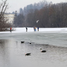normal_01022012fmt_eislepi_ta_008.JPG