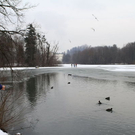 normal_01022012fmt_eislepi_ta_009.JPG