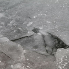 normal_01022012fmt_eislepi_ta_017.JPG
